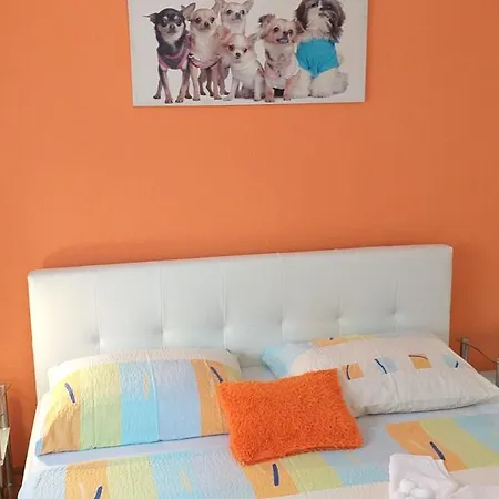 Jan 1 Apartamento